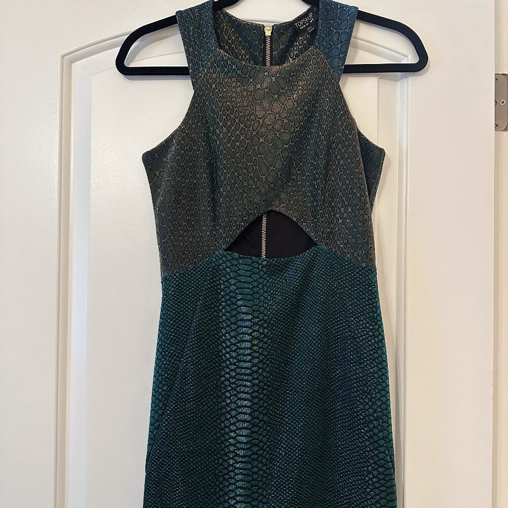 RARE TOPSHOP Snake Shimmer Mini Dress Size 2